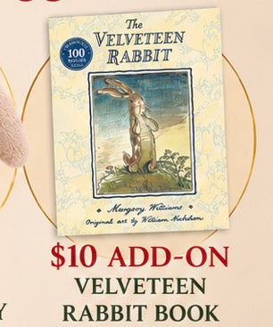 Velveteen Bunny Jellycat Cake Class - The Filling Station, Benicia 12/21