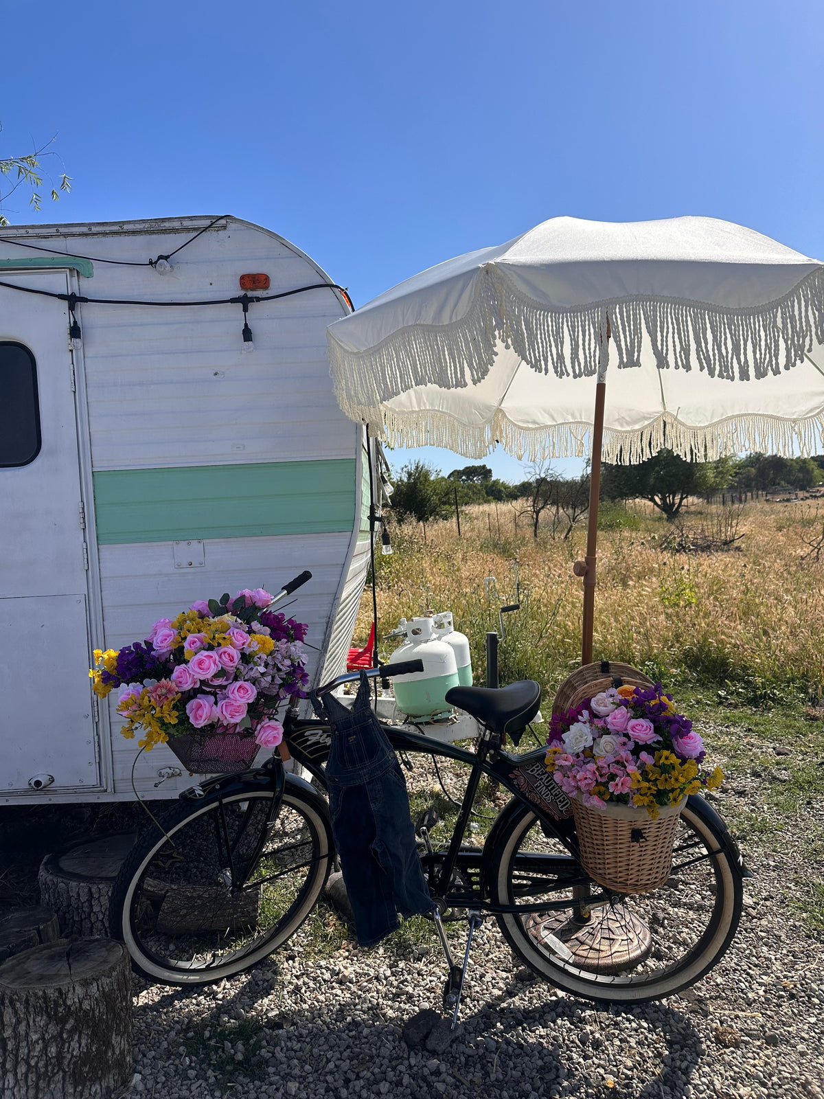 Bloom Bike or Bloom Buggy Rental Inquiry